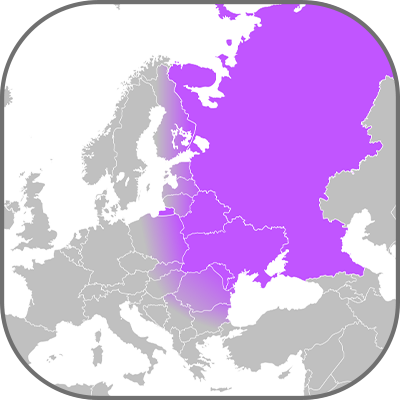 East europäischer Beleuchtungsmarkt