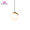 Kugelförmige Acrylschwarz -Magnetspur -Lampen -Lampe 10W C214
